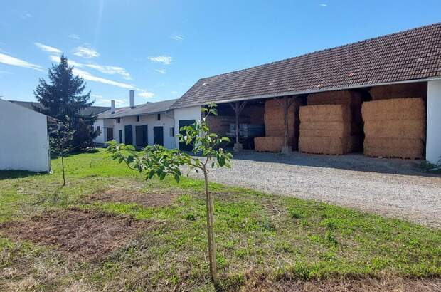 Mehrfamilienhaus kaufen in 2253 Weikendorf (Bild 1)