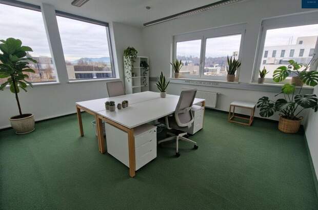 Gewerbeobjekt mieten in 8042 Graz (Bild 5)