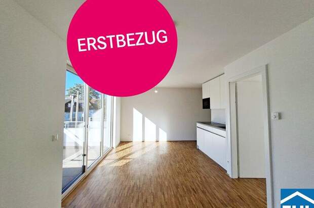 Terrassenwohnung mieten in 1220 Wien (Bild 2)