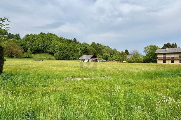 Grundstück kaufen in 9081 Reifnitz (Bild 3)