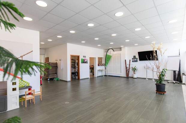 Anlageobjekt kaufen in 2472 Prellenkirchen (Bild 5)