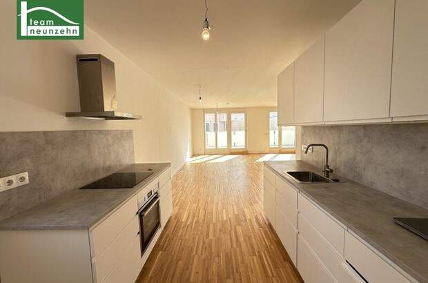 Terrassenwohnung mieten in 1230 Wien (Bild 3)