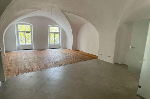 Gewerbeobjekt mieten in 2340 Mödling (Bild 2)