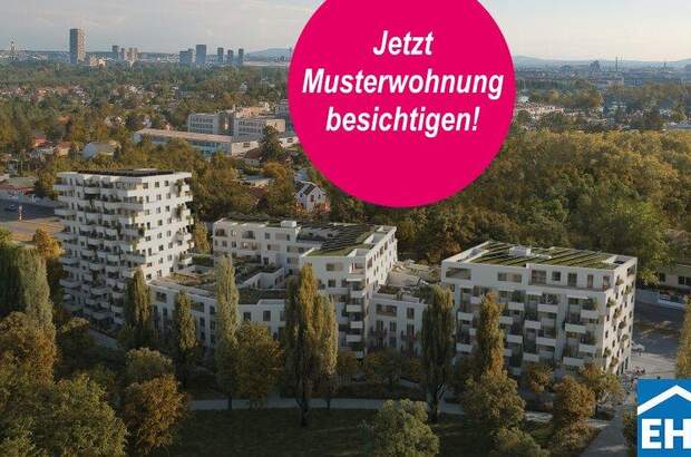 Terrassenwohnung mieten in 1220 Wien (Bild 1)