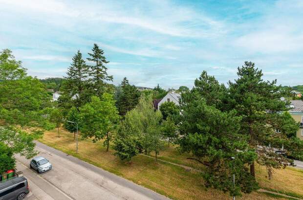 Altbauwohnung kaufen in 1130 Wien (Bild 3)