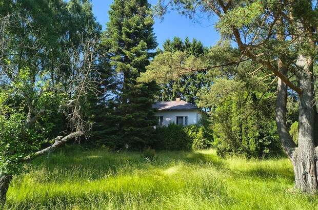 Haus kaufen in 3872 Amaliendorf (Bild 2)