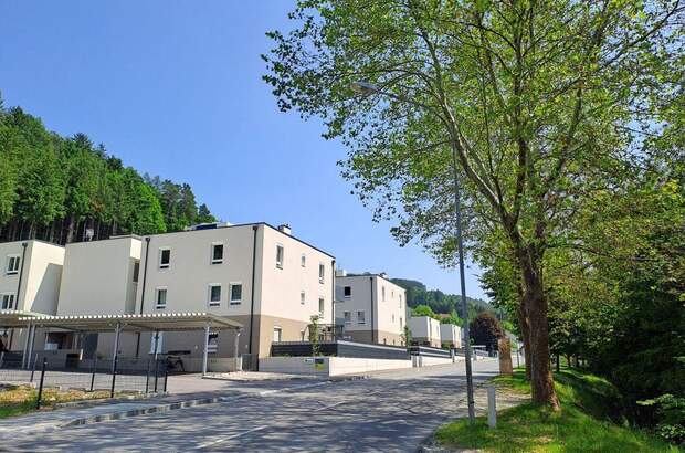 Mietwohnung in 2842 Edlitz (Bild 2)