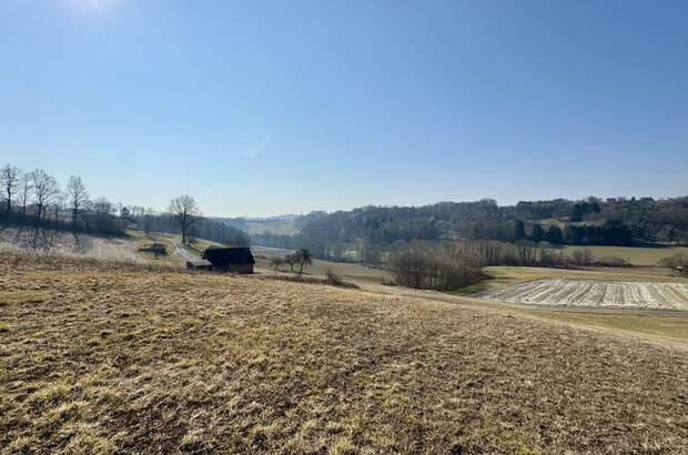 Grundstück kaufen in 8380 Henndorf (Bild 1)