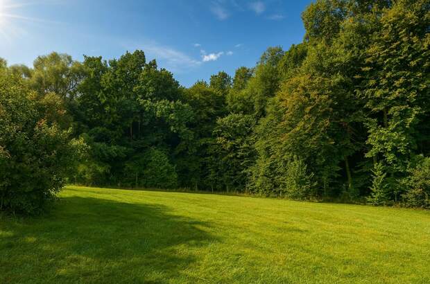 Grundstück kaufen in 3033 Altlengbach (Bild 1)