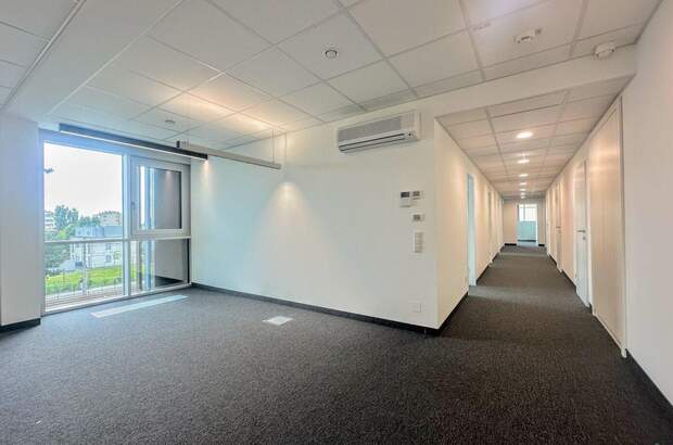 Gewerbeobjekt mieten in 2351 Wiener Neudorf (Bild 5)