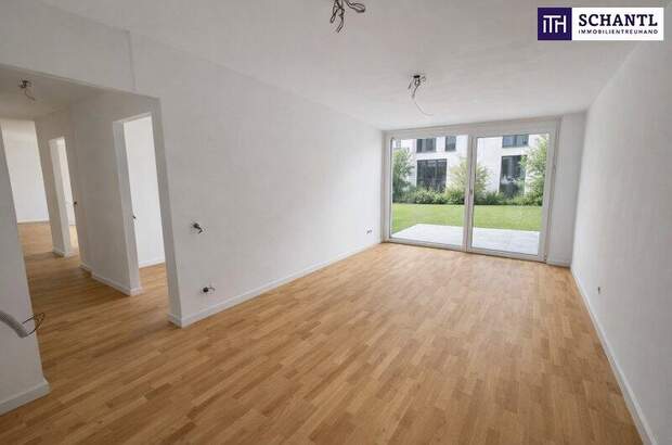 Terrassenwohnung kaufen in 2301 Groß (Bild 3)