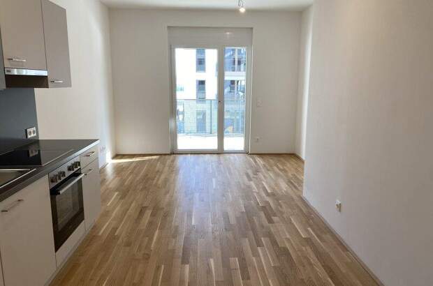 Terrassenwohnung mieten in 1220 Wien (Bild 2)