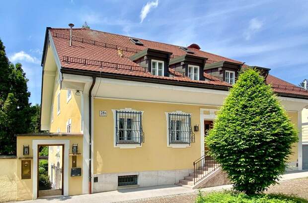 Altbauwohnung kaufen in 5020 Salzburg
