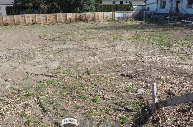 Grundstück kaufen in 3433 Königstetten (Bild 3)