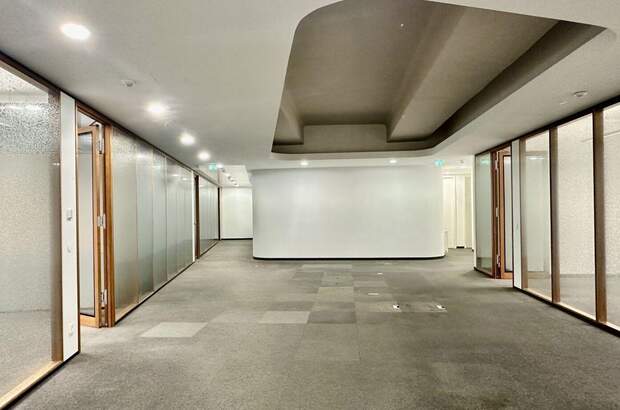 Gewerbeobjekt mieten in 1010 Wien (Bild 1)