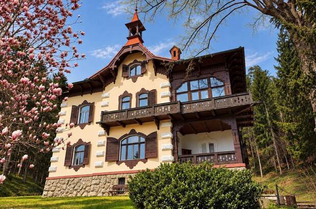 Haus kaufen in 2823 Pitten (Bild 1)