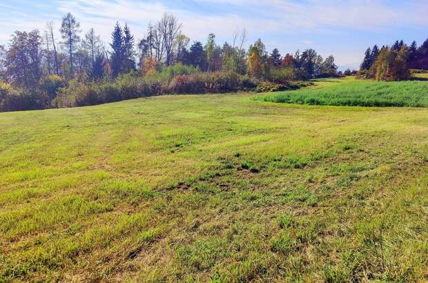 Grundstück kaufen in 9061 Klagenfurt (Bild 2)