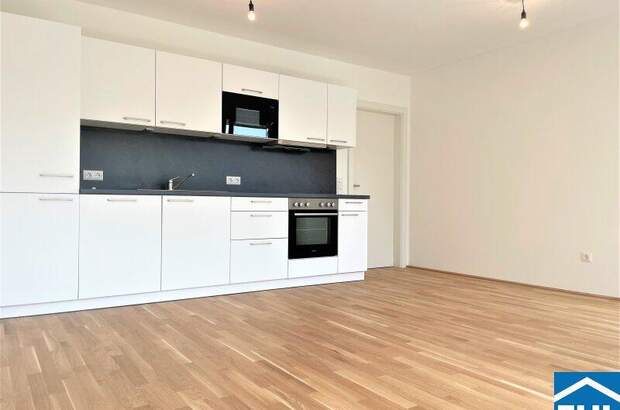 Terrassenwohnung mieten in 1160 Wien (Bild 1)