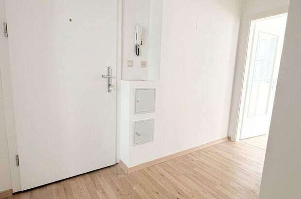 Altbauwohnung kaufen in 1230 Wien (Bild 3)