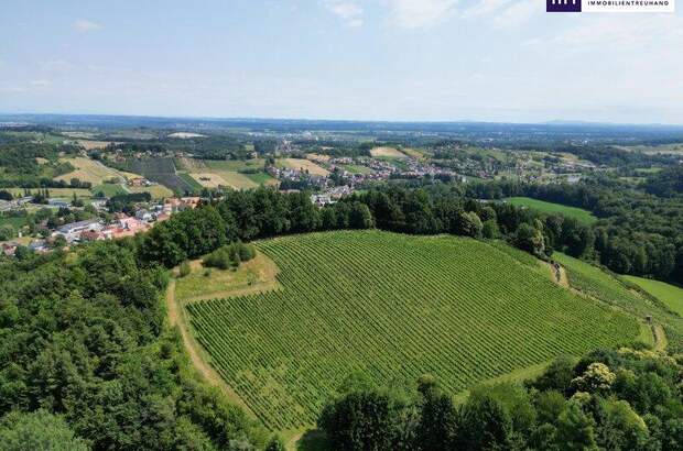 Grundstück kaufen in 8462 Gamlitz (Bild 1)