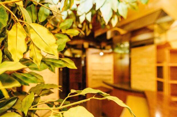 Gewerbeobjekt kaufen in 8010 Graz (Bild 4)