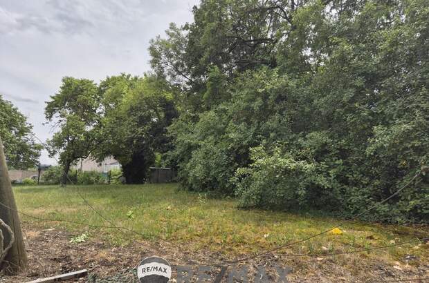 Grundstück kaufen in 2301 Groß (Bild 2)