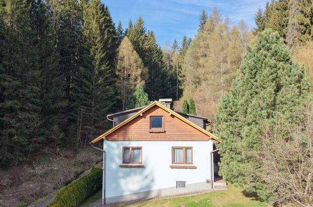Haus kaufen in 8742 Winterleiten (Bild 3)