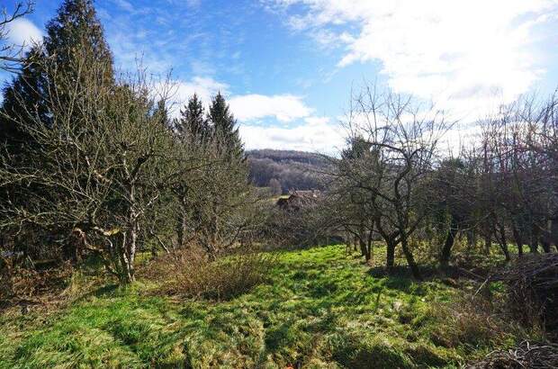 Grundstück kaufen in 3001 Mauerbach (Bild 1)