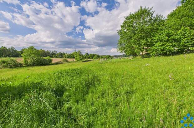 Grundstück kaufen in 8230 Eggendorf (Bild 5)