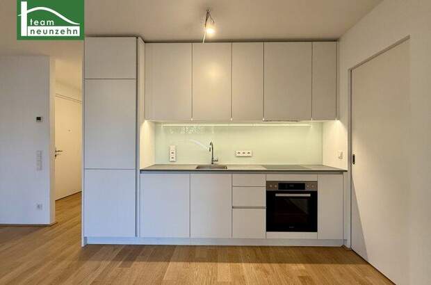 Terrassenwohnung mieten in 1180 Wien (Bild 2)