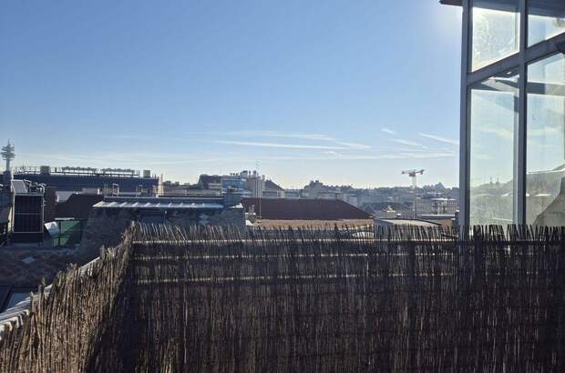 Terrassenwohnung kaufen in 1100 Wien (Bild 1)