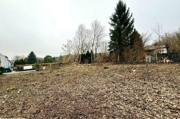 Grundstück kaufen in 2534 Alland (Bild 5)