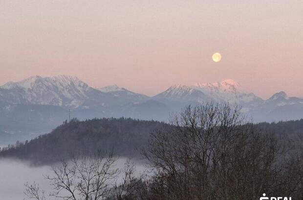 Terrassenwohnung kaufen in 9161 Maria Rain (Bild 4)