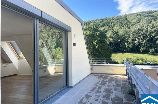 Terrassenwohnung mieten in 2391 Kaltenleutgeben (Bild 4)