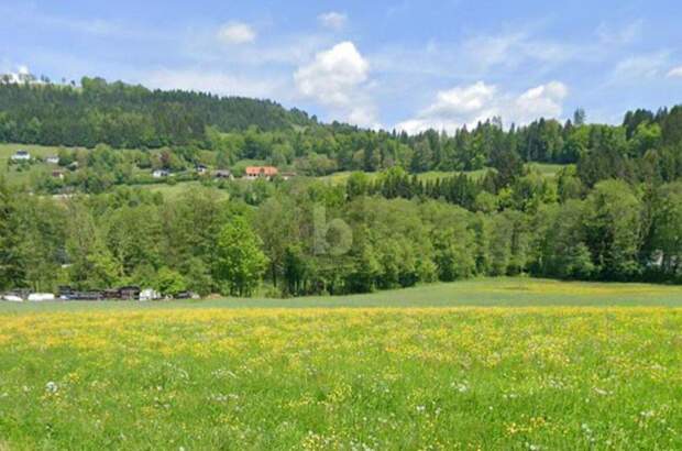 Grundstück kaufen in 9562 Himmelberg (Bild 2)