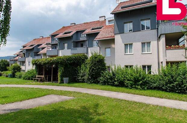 Wohnung mieten in 4560 Kirchdorf (Bild 4)