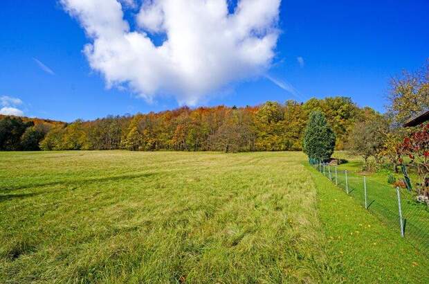 Grundstück kaufen in 3021 Pressbaum (Bild 2)