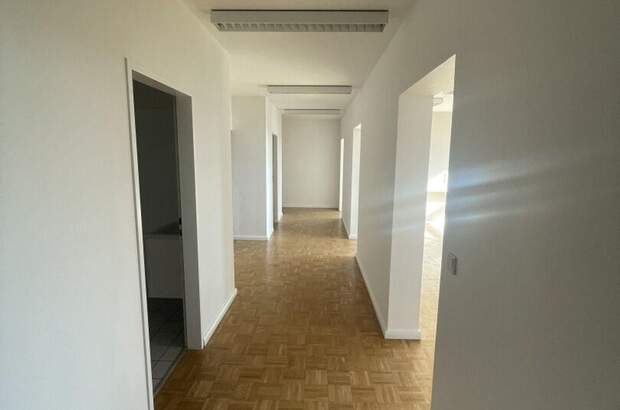 Gewerbeobjekt mieten in 1230 Wien (Bild 5)