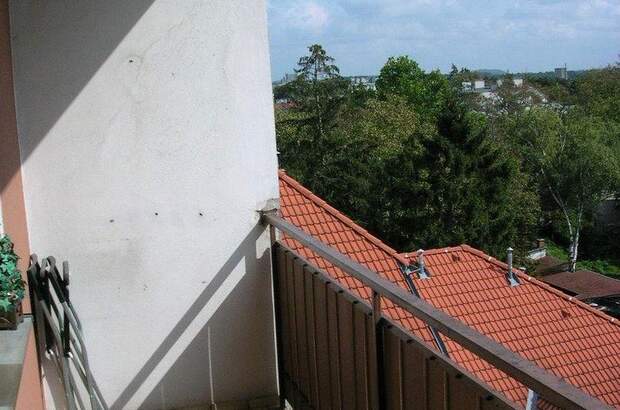 Terrassenwohnung kaufen in 2000 Stockerau (Bild 4)