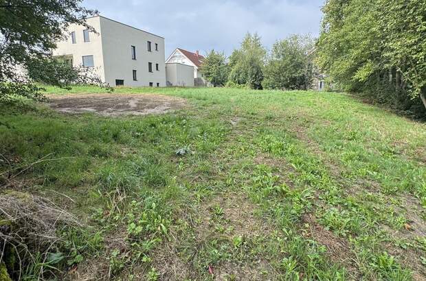Grundstück kaufen in 4064 Kirchstetten (Bild 3)