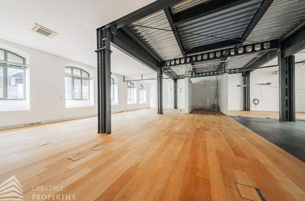 Gewerbeobjekt kaufen in 1020 Wien (Bild 5)