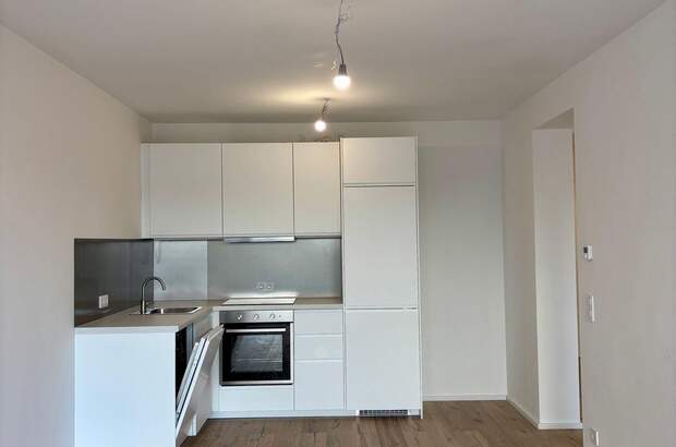 Wohnung mieten in 1190 Wien (Bild 1)