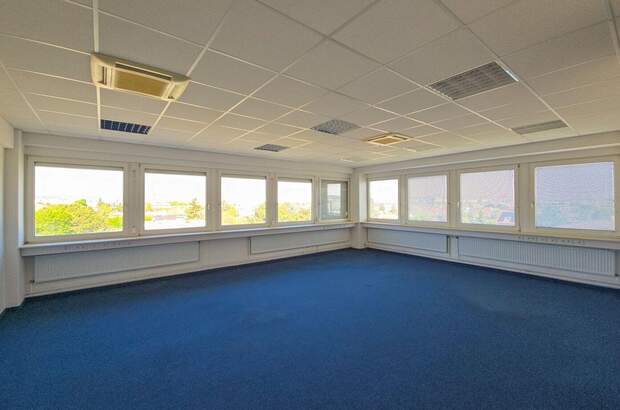 Gewerbeobjekt mieten in 1230 Wien (Bild 1)