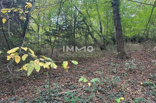 Grundstück kaufen in 3021 Pressbaum