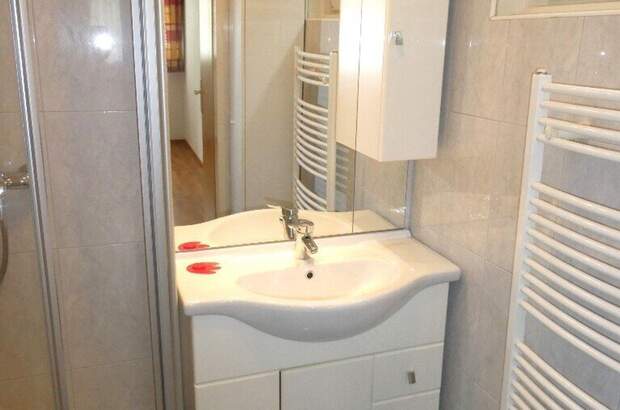 Wohnung mieten in 5061 Elsbethen (Bild 5)