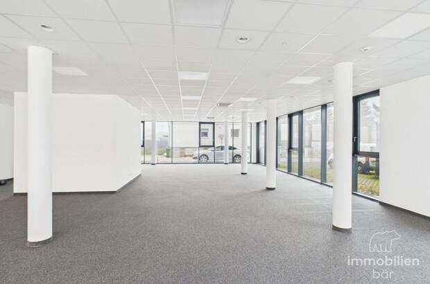 Gewerbeobjekt mieten in 4061 Pasching (Bild 4)