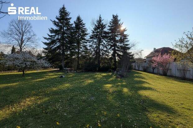 Grundstück kaufen in 7201 Neudörfl (Bild 1)