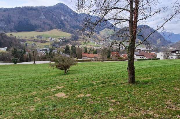 Grundstück kaufen in 4460 Losenstein (Bild 4)