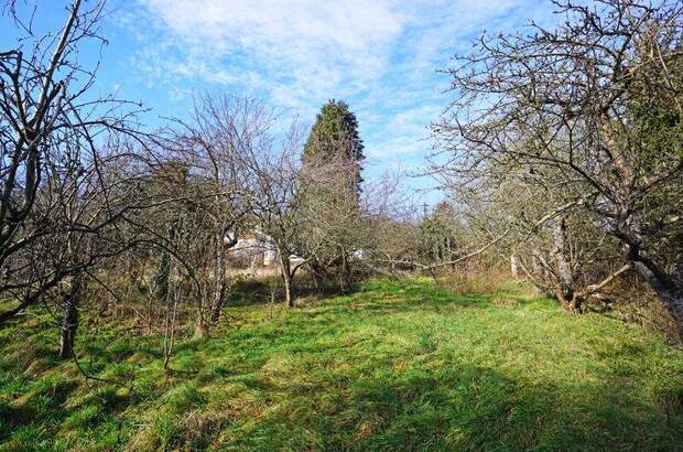 Grundstück kaufen in 3001 Mauerbach (Bild 5)