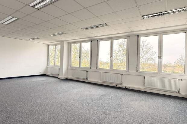 Gewerbeobjekt mieten in 2320 Schwechat (Bild 3)